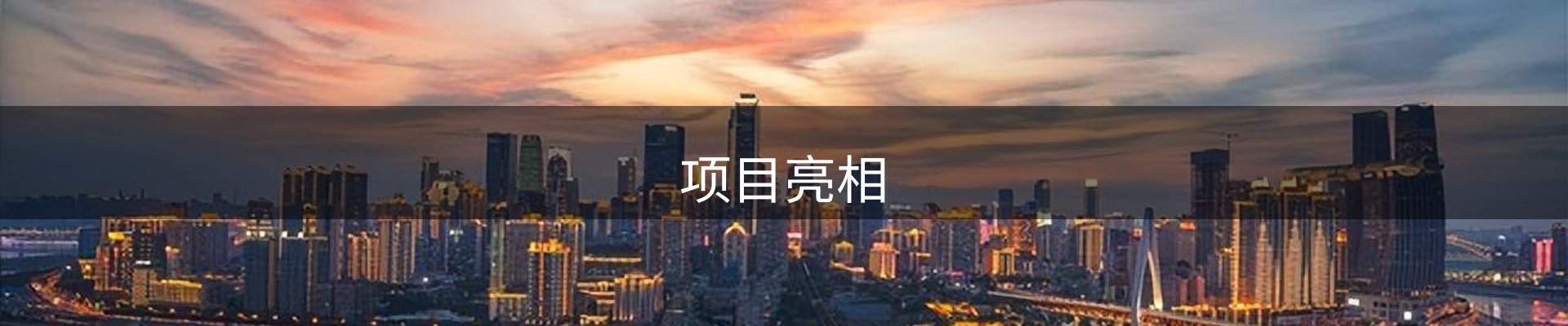 项目亮相